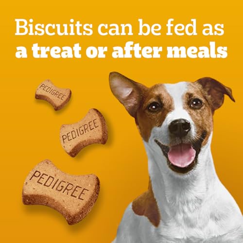 PEDIGREE Breathbuster Dog Treats, Dog Breath Freshener, Crunchy Biscuits with Eucalyptus Oil and Parsley, Medium & Large Adult Dogs, 500g Pouch image 5