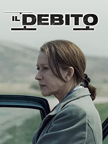  Il debito