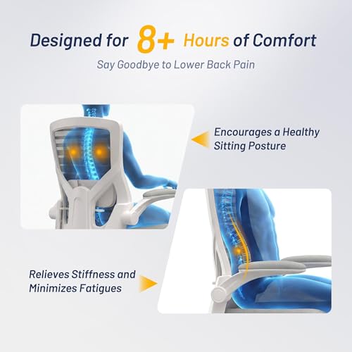 Image of Office Desk Chair for Long Hours & Lower Back Pain Relief - 4 inch Thick Molded Foam Cushion, Enhanced Lumbar Support, Padded Flip-up Armrests, Ideal for Office or Study (Light Gray)