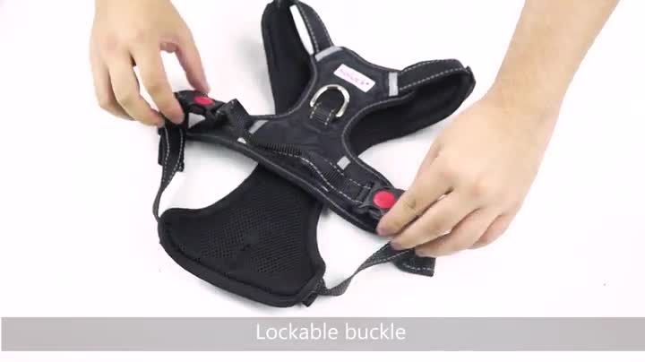 holuck dog harness