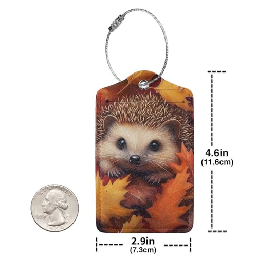 Cute Hedgehog Autumn Luggage Tag with Stainless Steel Loop and Address Card for Travel Bag Suitcase 4 Pcs3