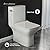 Carre One Piece Square Toilet Left Side Flush, 10" Rough-In 1.28 gpf