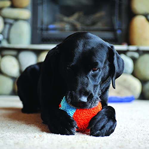 Bola Chuckit Indoor Ball para Cães Chuckit para Cães, Azul, 4.7 inches