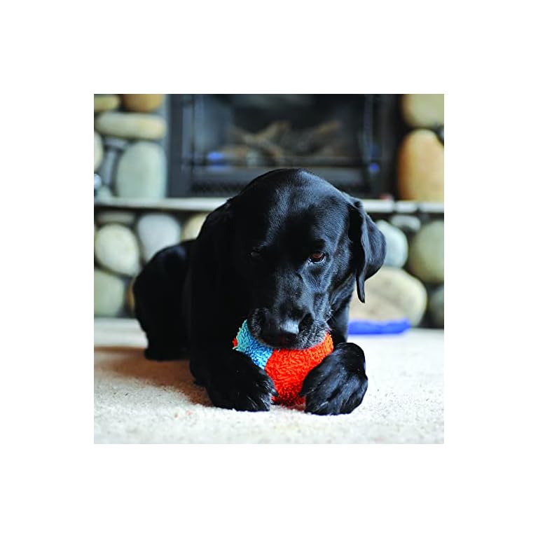 Indoor Safe Dog Toy Buy Online