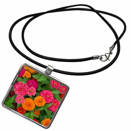 3dRose Danita Delimont - Flowers - Michigan, Dearborn, Close up of colorful zinnia flowers. - Necklace With Rectangle Pendant (ncl_230970)