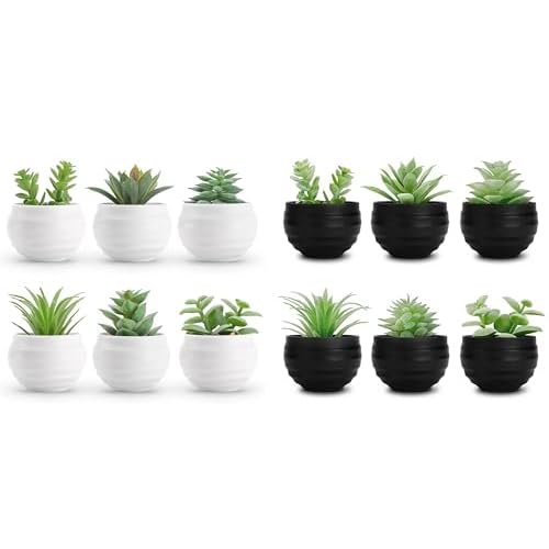 Der Rose Bundle of Set of 6 Succulents Plants Artificial in Pots and 6ps Succulents Fake Plants for Bedroom Living Room Office Shelf Black Bathroom Decor