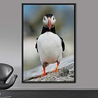 Framed Canvas Wall Art Single Bird Birds Expressive Farmhouse/Country Multicolor Photography Portrait Single - 16x24 inches