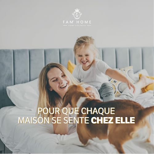 Oreillers ergonomiques 50x70 hypoallergéniques x2 Interscalit