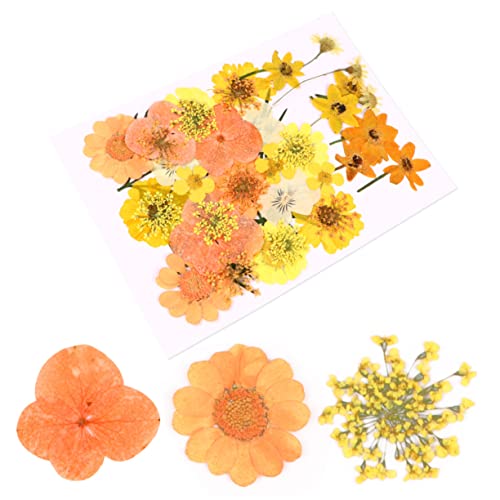 40 Adhesivos de Flores Secas para Manualidades