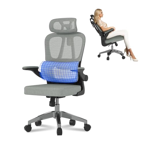 FLEXISPOT OC3 Lite Chaise Bureau, Chaise Ergonomique en Maille Pivotante