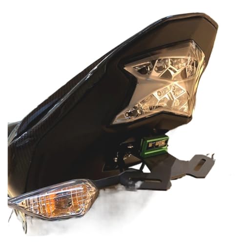 Support de plaque Kawasaki Z900 2017-2024 avec éclairage LED vert