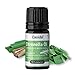 Produktbild Citronella Öl Naturrein - Ätherisches Öl - Therapeutische Qualität  Citronellaöl für Aromatherapie, Aromadiffuser - Aus der Apotheke - 5 ml