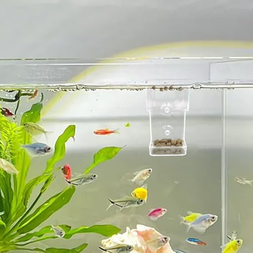 Image of 2-Pack Acrylic Fish Feeders - Round & Square Suction-Cup Feeding Tubes for Aquariums, Hollow Floating-Sinking Fish & Shrimp Food Holders