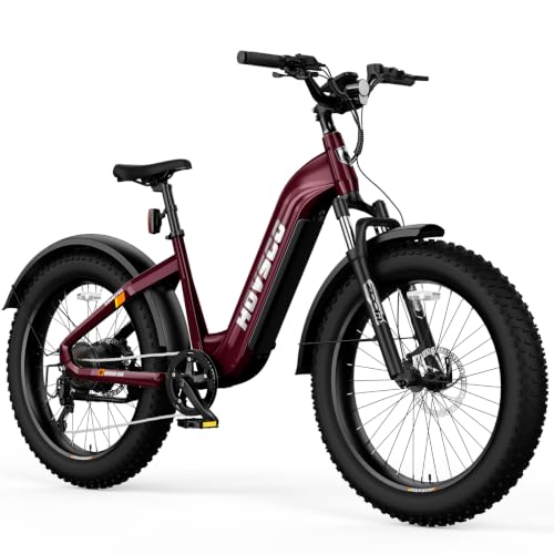 HovAlpha Torque Sensor E-Bike, 2000W Peak Motor, 48V 20Ah, 26x4 Fat Tires image 3