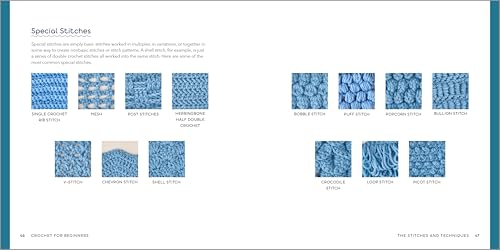 Crochet for Beginners: A Stitch Dictionary with Step-By-Step Illustrations and 10 Easy Projects