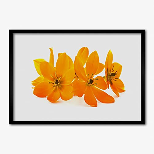 Cadre murale en MDF et affiche encadree de qualite superieure fleurs orange Tulup
