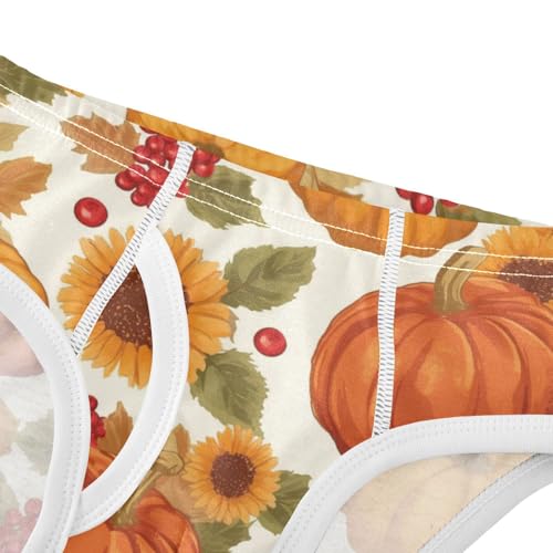 Wusikd Pumpkins Sunflowers Boys' Underwear Cotton Red Berries Boys Briefs Soft Toddler Underwear 2T4