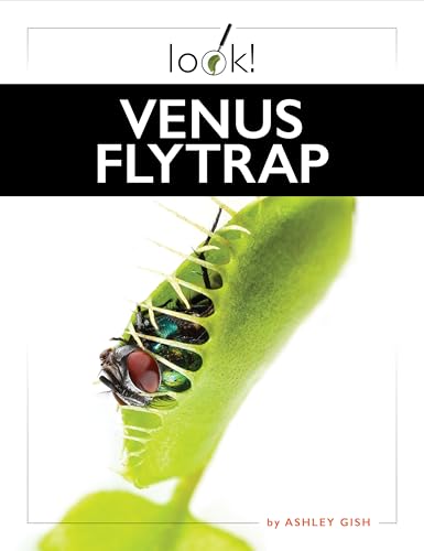 Venus Flytrap (Look!)