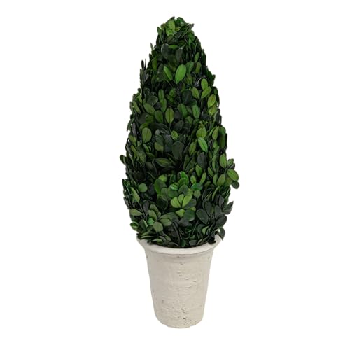 Creative Co-Op Boxwood Topiary in Clay Pot