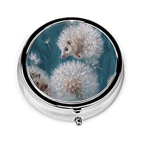 LINGF Ronde pillendoos paardenbloem egel ronde pillendoos gepersonaliseerde schattige draagbare medicijnhouder organizer…
