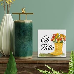 Country Oh Hello Spring Wood Sign Floral Spring Home Decor Indoor for Desk Table Shelf 5 x 5 Inches