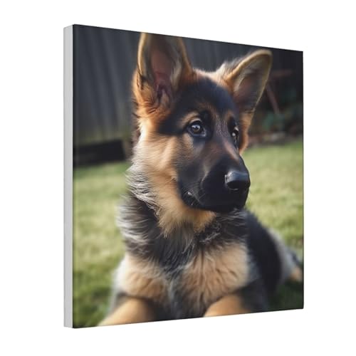 Toile chiot berger allemand, tableau encadré pour célébrer votre passion