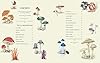 Coloready Mushrooms: 20 Modern Paint-by-Number Prints #5