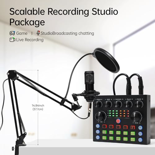 Kit de equipamento de podcasts para 2, interface de áudio com microfones condensadores de troca de v