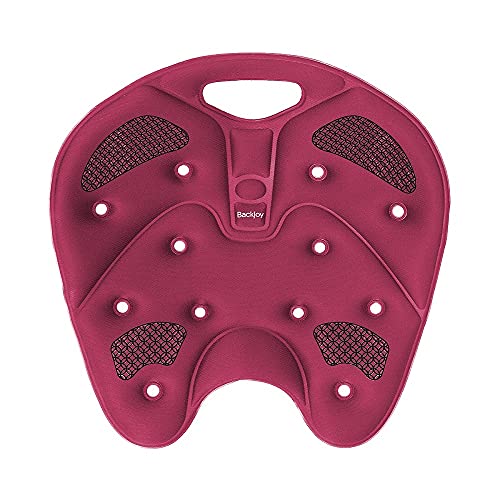バックジョイ骨盤サポートシート 骨盤矯正 姿勢改善 メディコアリリーフ レギュラーサイズ ワイン 姿勢矯正 猫背 腰痛