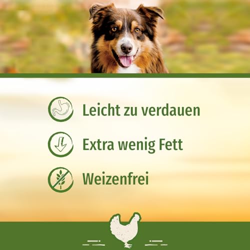SmartBones Chicken Wrapped Sticks Medium - Hundesnack mit Huhn für mittelgroße Hunde, Kaustangen mit weicher Textur, ohne Rohhaut, 5 Stück