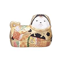 Amazon｜薬師窯 須はら 錦彩 犬筥(大・左)(白)｜急須 オンライン通販