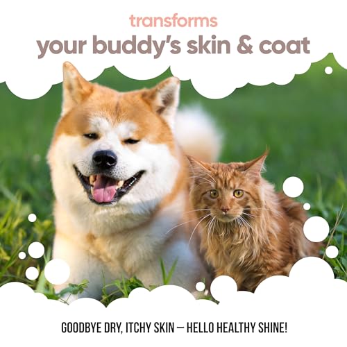 Buddycare Scottish Salmon Oil for Dogs and Cats (1L x2) 100% Natural & Sustainable Supplement | Rich in Omega 3, 6 & 9 for Boosting the Health & Vitality of your Pet’s Skin, Coat & Immune System - Image 5