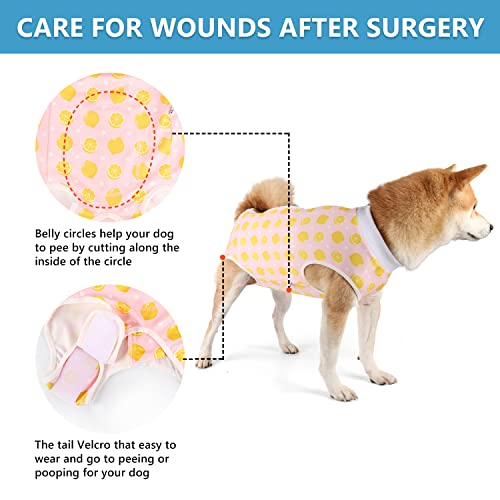 Image of Dog Surgery Suit Female Spay Recovery Suit for Dogs Surgical Recovery Suit for Female Dog Neuter Recovery Suit Male Dogs Onesie for Surgery Fits Small Medium Dog Yellow Lemon /Medium