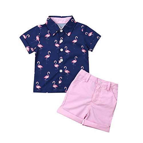 Toddler Baby Boy Summer Clothes Flamingo Print Short Sleeve Button Down T-Shirts Tops+Shorts Set Kids 2 Piece Summer Outfits (Blue+Pink, 5-6 T)