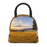 Sac à déjeuner isotherme - Motif paysage d'herbe dorée - Pour pique-nique - Pour femme et homme