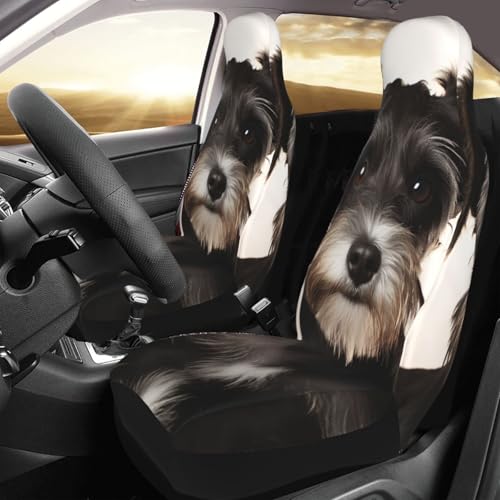 Housse de siège voiture schnauzer pour afficher votre amour des animaux à chaque voyage