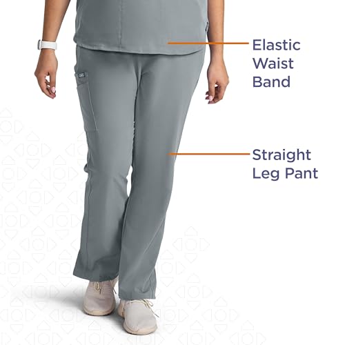 Image of AVE. Varick Women's Scrub Pants, Elastic Waistband, 4-Way Stretch Fabric, Wrinkle- and Fade-Resistant, Machine Washable Scrubs, For Nurses & Medical Professionals, (L Petite, Gray)