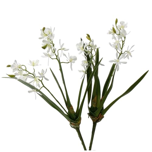 Xoeryoy 2pcs Cymbidium Orchid 14 Pulgadas de Color Blanco Realista de Color Blanco