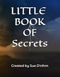 secreto testo video  Little Book of Sectrets: Journal with a twist of self help