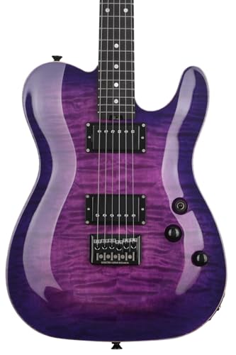 Schecter PT �N���V�b�N�G���L�M�^�[ - �p�[�v���o�[�X�g