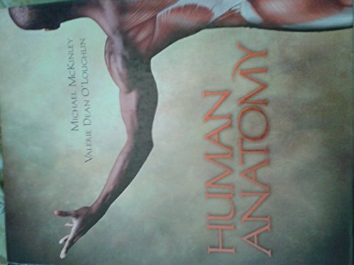 Human Anatomy view 2