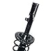Rear Complete Struts & Coil Spring Assembly Compatible with 2002-2006 Toyota Camry Solara 2004-2006 Lexus Es330 Strut and Shock FWD 172207 172208
