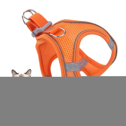 Filvczt Lbg EH[LO n[lX,ˋ@\t \tgbVxXgn[lX[h ߉\ | ^ ^ ^ ybg xXgJ[ oR Lv AEghAp