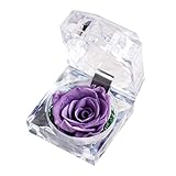 La flor eterna está floreciendo en una caja de regalo de acrílico. Da un ambiente más romántico y hace del amor uno más encantador.