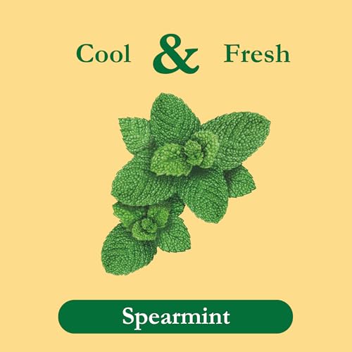 Tadin Spearmint Tea, Herbal Tea, Caffeine Free, 24 Tea Bags Per Box, Pack of 6