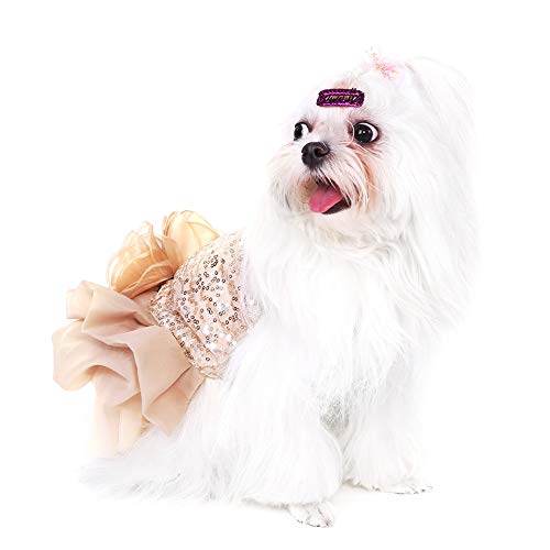 Disfraz para perro princesa tamaño M en rosa dorado miniatura 4