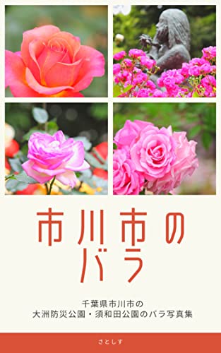 市川市のバラ