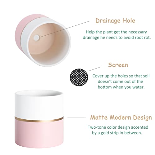 Ghitine Plant Pots Indoor 5.5 Inch Ceramic Planters, Matte Flower Pots With Drainage Hole For Home Office Decor (Pink, White, With Gold Stripe) #TOP4