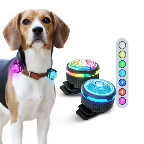 PAJ LIGHT MINI - LED Ultraluminoso per Collari e Pettorine - Cani Piccoli, Medi e Gatti - Regolazione Flessibile - 100% Impermeabile - 7 Colori - Sicurezza e Visibilità Notturna