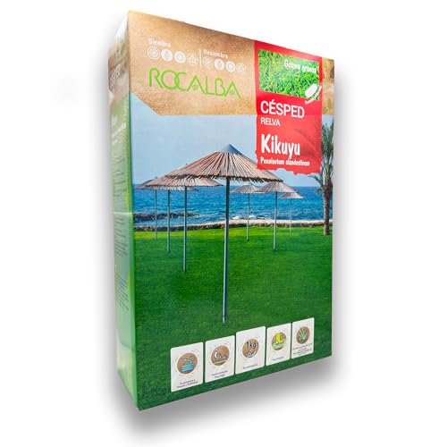 Césped Kikuyu - Grama Gruesa Muy Resistente - Rendimiento para 15 m2 - Caja de 100 GR - Muy bajo mantenimiento y resistente a sequía y salinidad - Rocalba Semillas